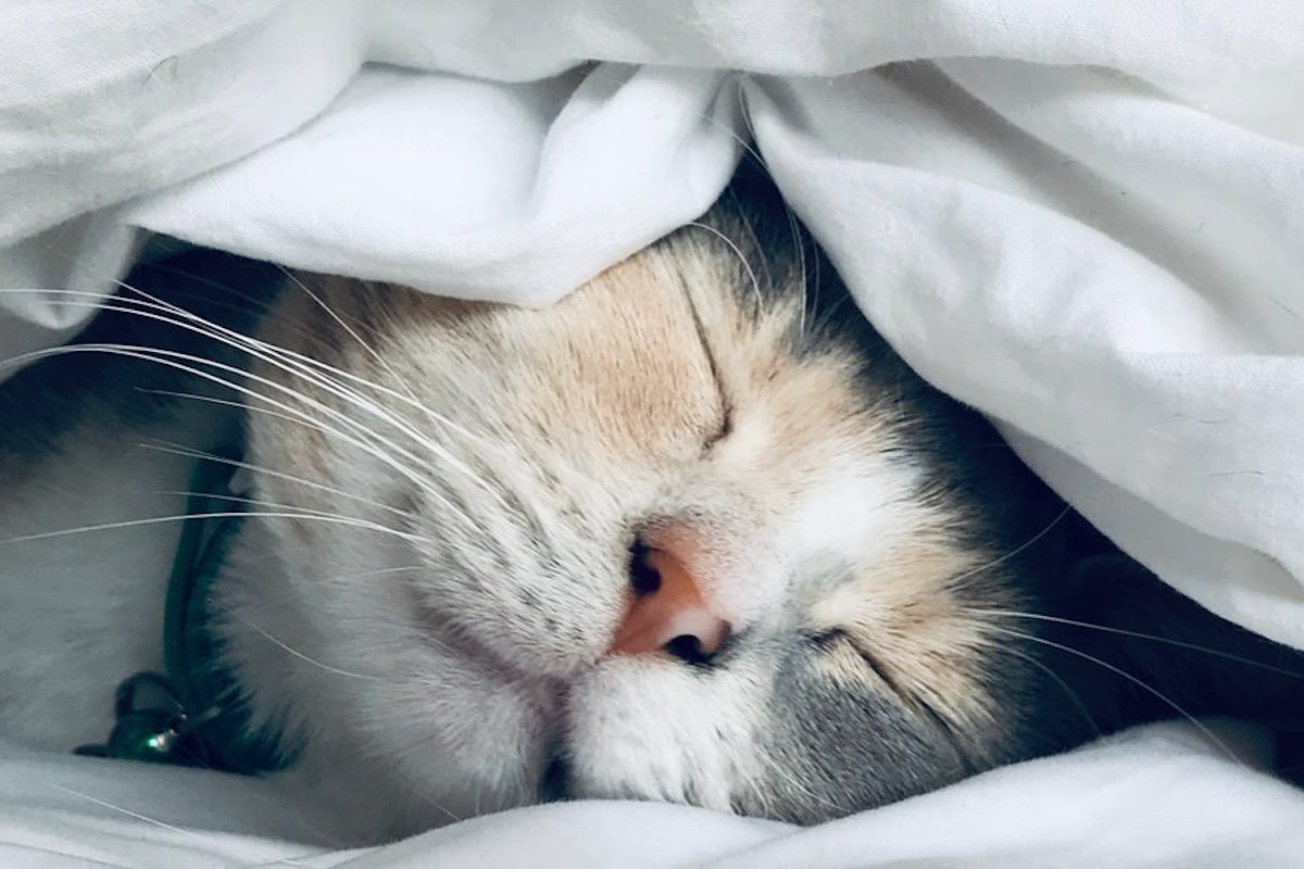 Sleep